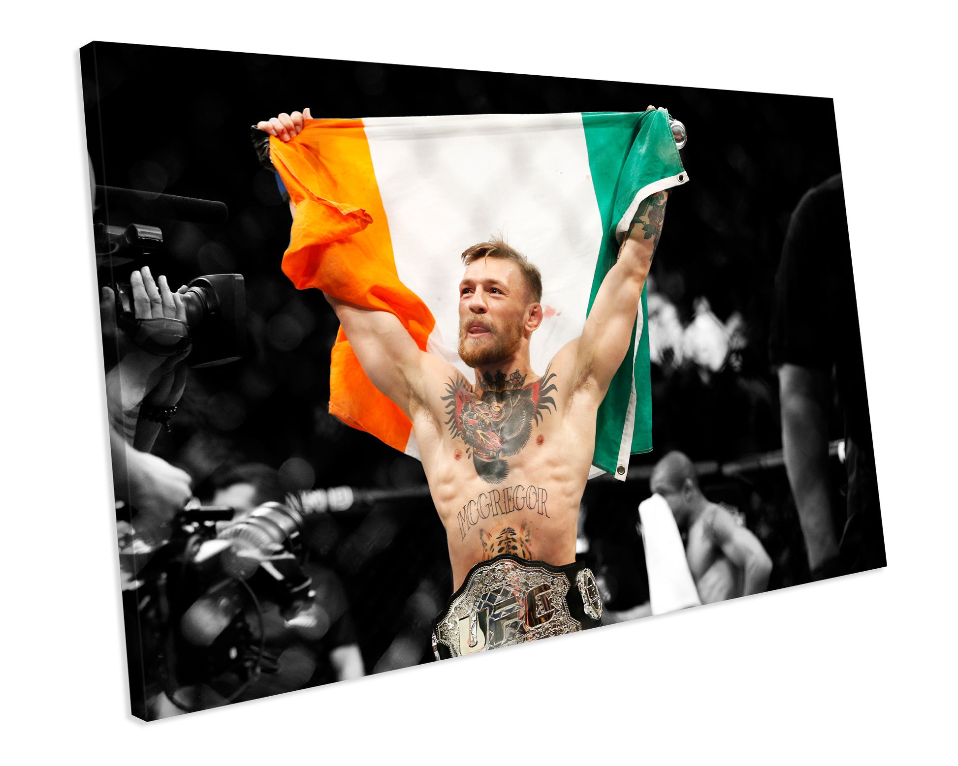 UFC Conor McGregor Boxing Sports CANVAS WALL ART Box Framed Picture Print