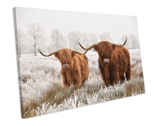 Highland Cow CANVAS WALL ART Framed Picture Print