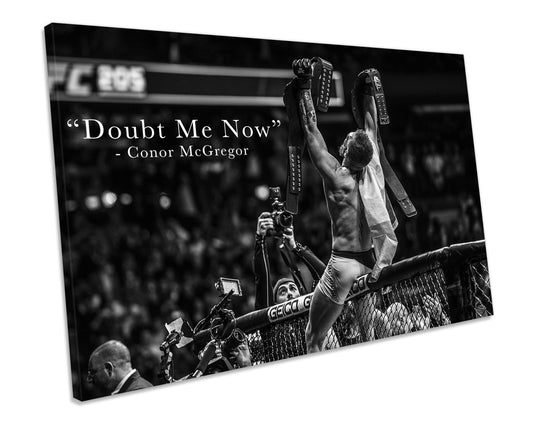 UFC Conor McGregor Canvas