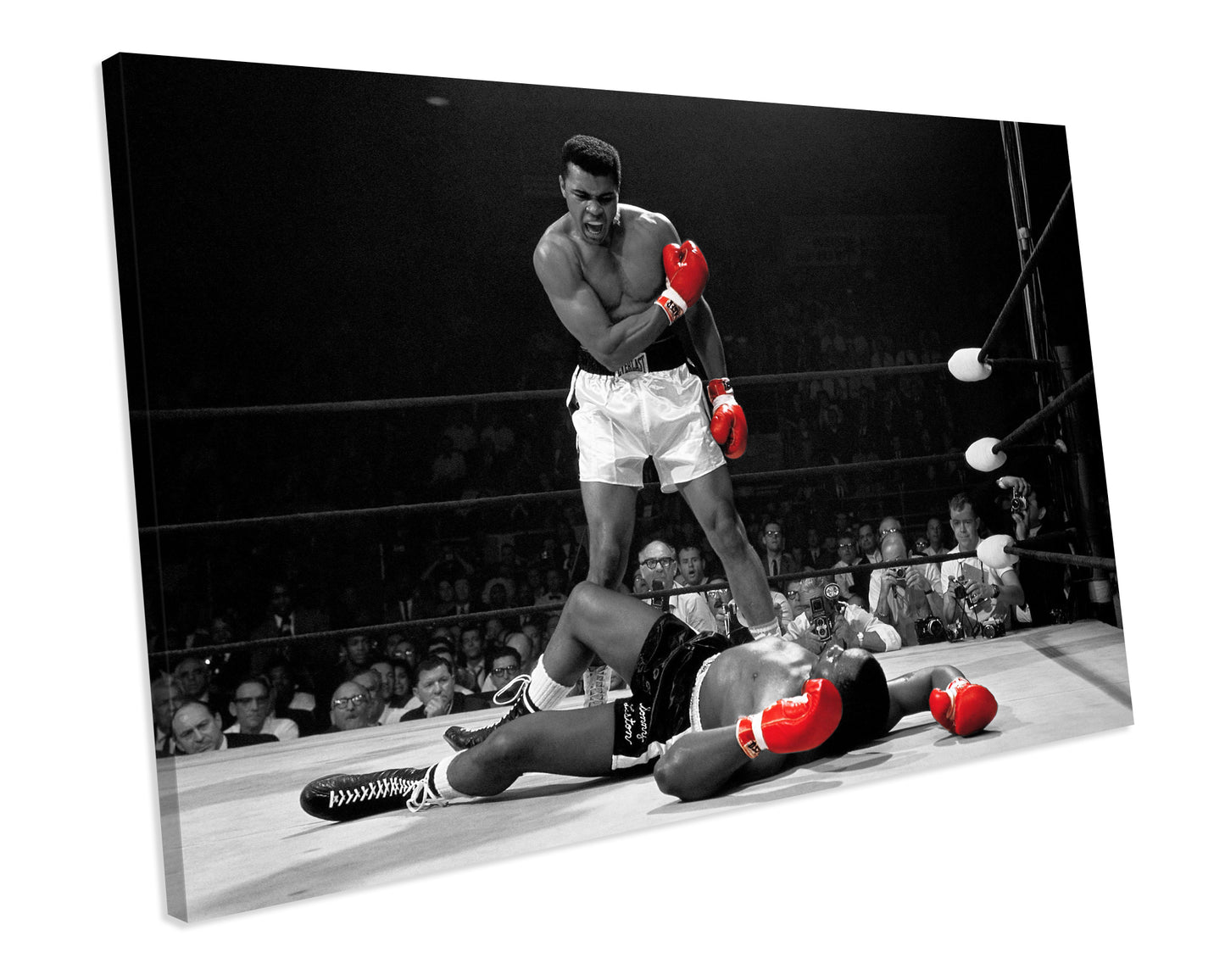 Muhammad Ali Canvas