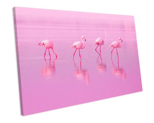 Pink Flamingos Animal Wildlife CANVAS WALL ART Box Framed Picture Print
