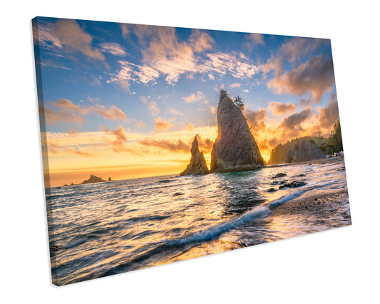 Olympic National Park Ocean Box Framed Canvas Print