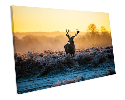Stag Deer Winter CANVAS WALL ART Box Framed Picture Print