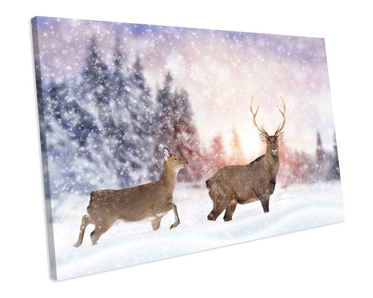Winter Landscape Stag Animals Box Framed Canvas Print