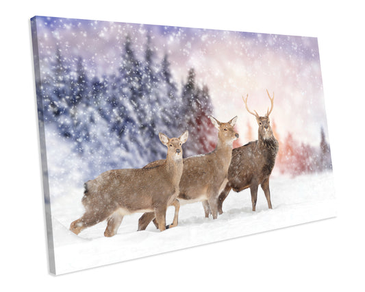 Snowy Landscape Stag Animals Box Framed Canvas Print