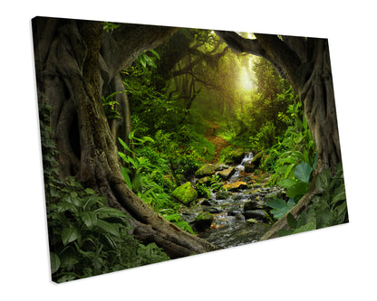 Forest Landscape Trees Canvas Print