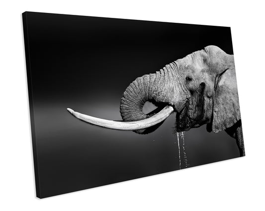 Elephant Black And White Animal Wall Art Framed Canvas