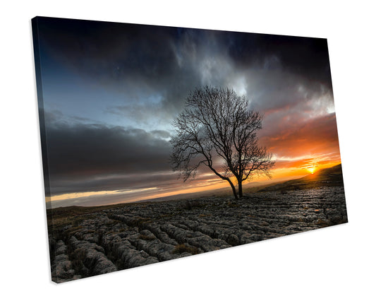 Sunset Landscape Tree Wall Art Framed Canvas Print