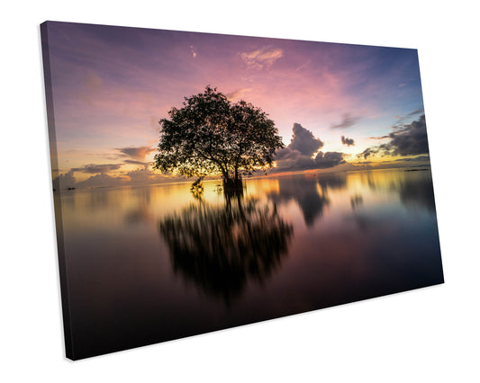 Cork Tree Thailand Landscape Wall Art Canvas Print