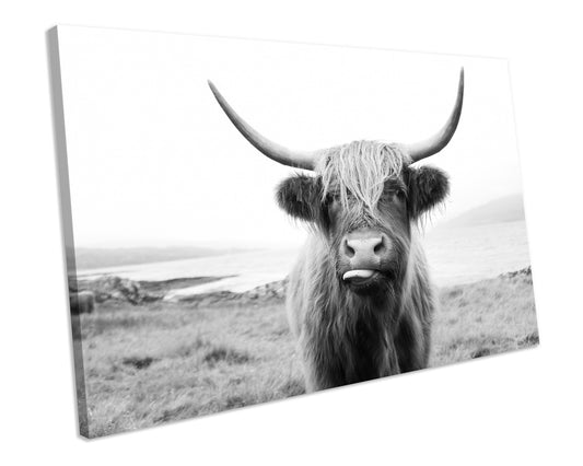 Black & White Highland Cow Canvas Wall Art Picture Print Box Framed Ready To Hang