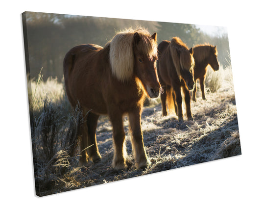 Horses Winter Morning CANVAS WALL ART Picture Print