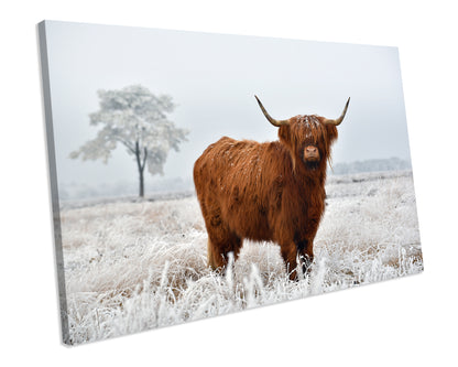 Highland Cow Winter PICTURE CANVAS ART Print Framed Wall Art