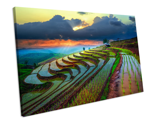 Thailand Paddy Field Sunset Picture Canvas Wall Art Print