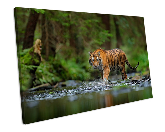 Tiger Animal Wildlife Forest CANVAS ART PRINT Framed picture
