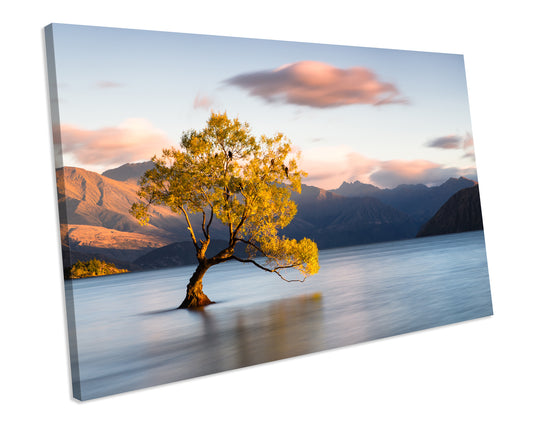 Sunset New Zealand Lake Tree Picture Canvas Art Print