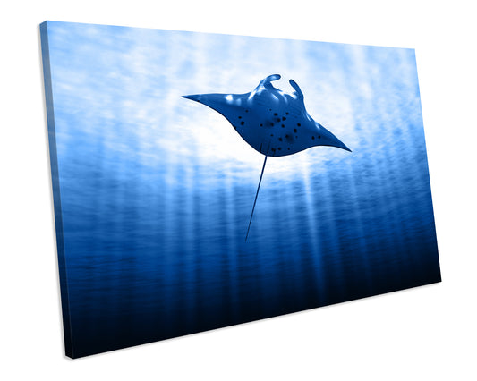 Manta Ray Sealife Wildlife Framed Picture CANVAS WALL ART Print