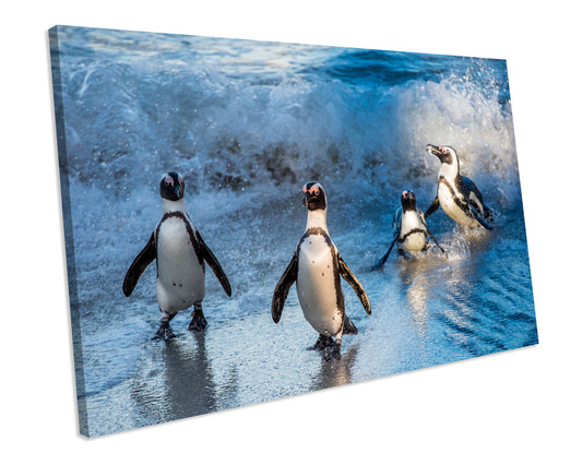 Penguins Wildlife Framed Picture CANVAS Art Print