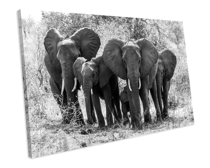 Black And White Elephants Canvas Wall Art Print Framed Picture
