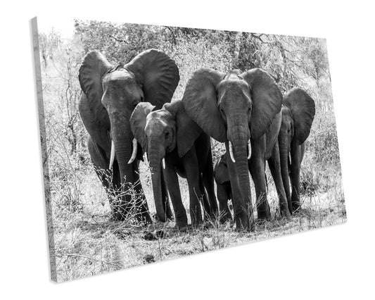 Black And White Elephants Canvas Wall Art Print Framed Picture