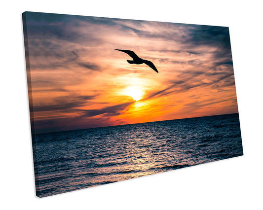 Sunset Horizon Seagull Canvas Wall Art Print Framed Picture