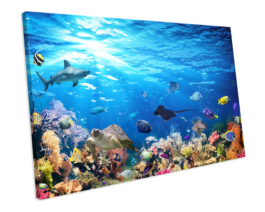 Sealife Fish Coral Reef Canvas Wall Art Print Framed Picture