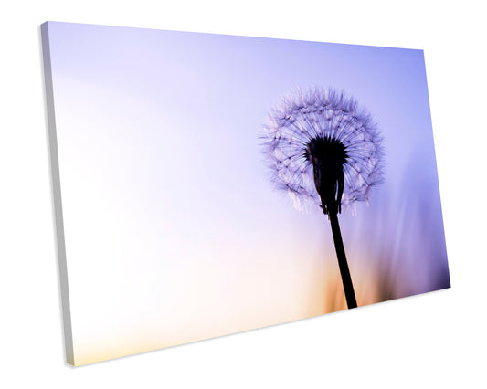 Dandelion Sunset Floral Bathroom Canvas Wall Art Print Framed Picture