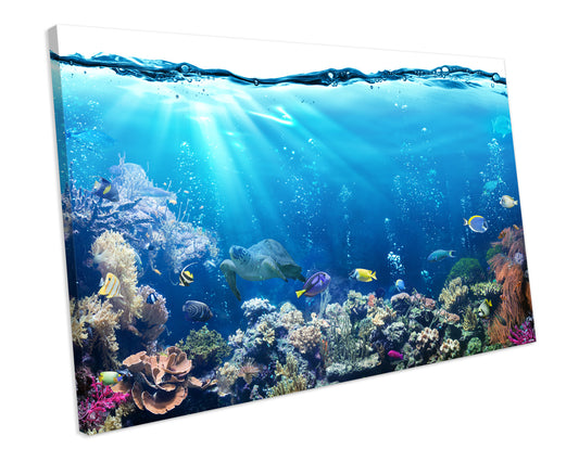 Under Water Reef Marine Fish Bathroom CANVAS ART PRINT Box Framed Picture