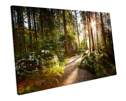 Forest Landscape CANVAS ART PRINT Box Framed Picture