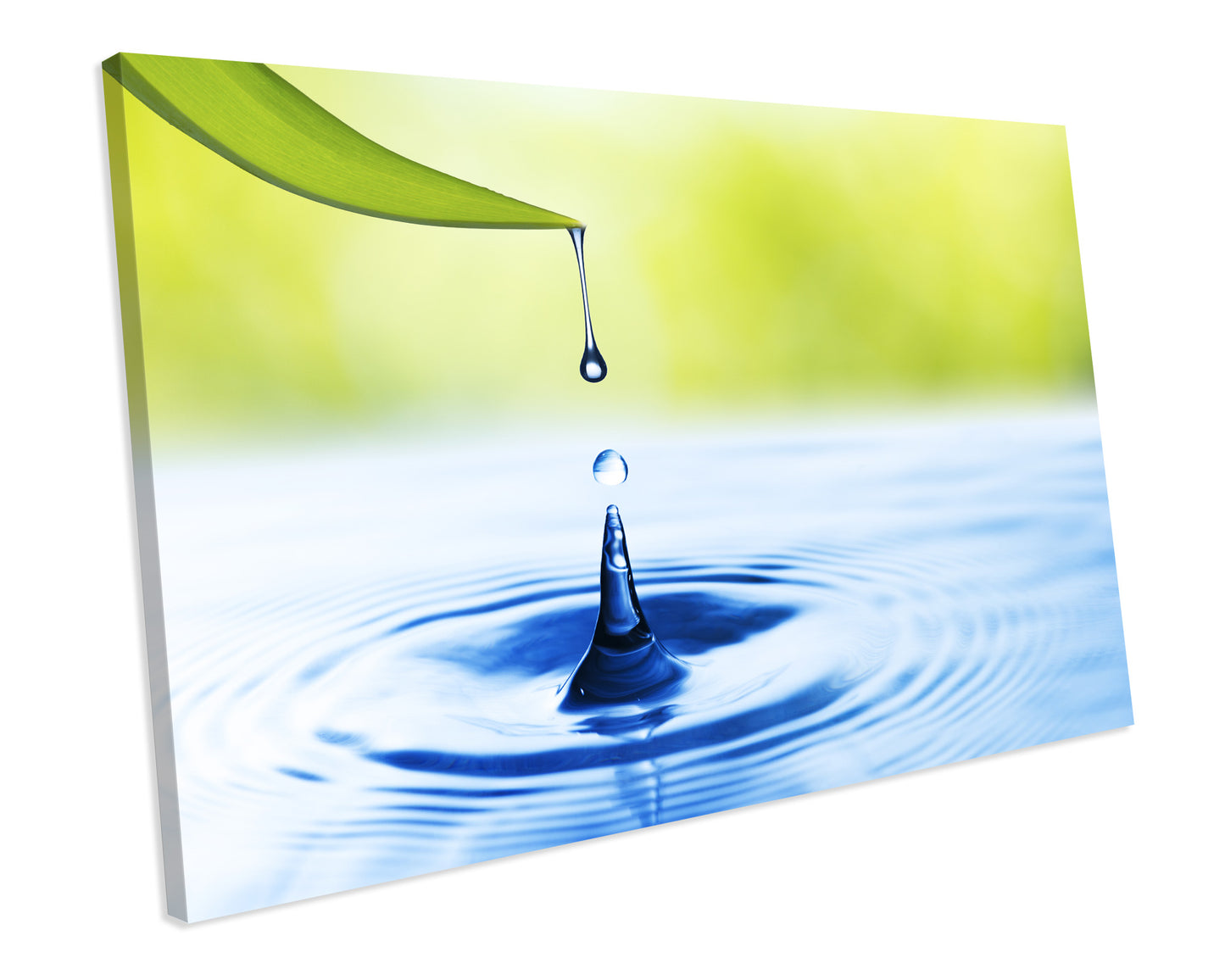 Water Drop Leaf Bathroom Green CANVAS WALL ART Picture Print