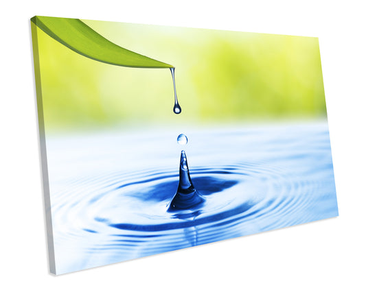 Water Drop Leaf Bathroom Green CANVAS WALL ART Picture Print