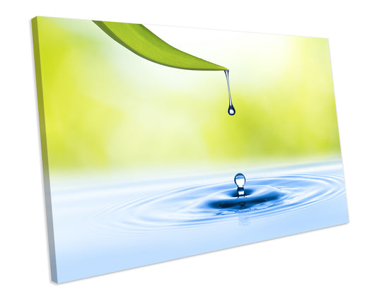 Bathroom Water Drop Leaf Green Box Framed CANVAS WALL ART Picture Print