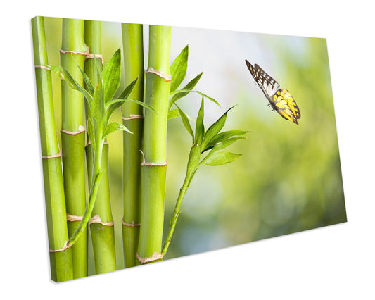 Bamboo Butterfly Bathroom Box Framed CANVAS WALL ART Picture Print