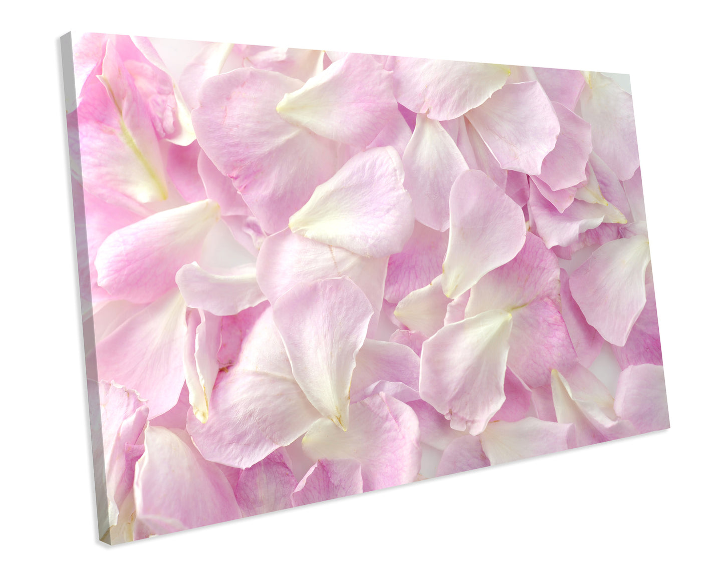 Petals Floral Box Framed CANVAS WALL ART Picture Print