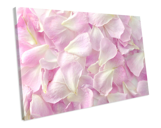Petals Floral Box Framed CANVAS WALL ART Picture Print