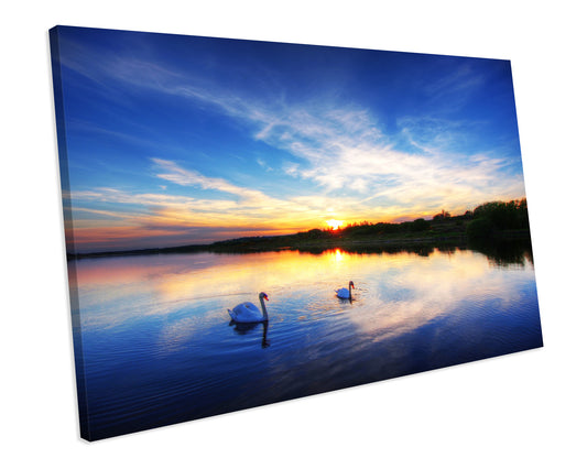 Swan Lake Sunset Box Framed Canvas Art Print