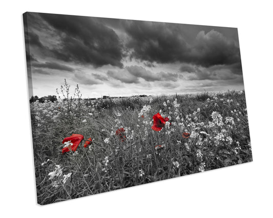 Poppies Field Flower Black And White Box Framed Canvas Art Print