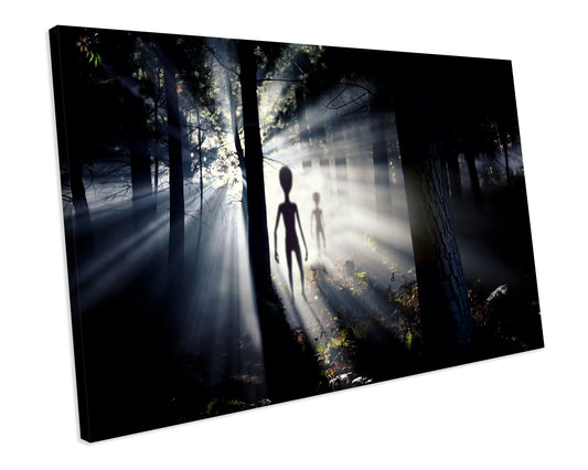 Aliens Ufo Area 51 Canvas Art Print Framed Picture