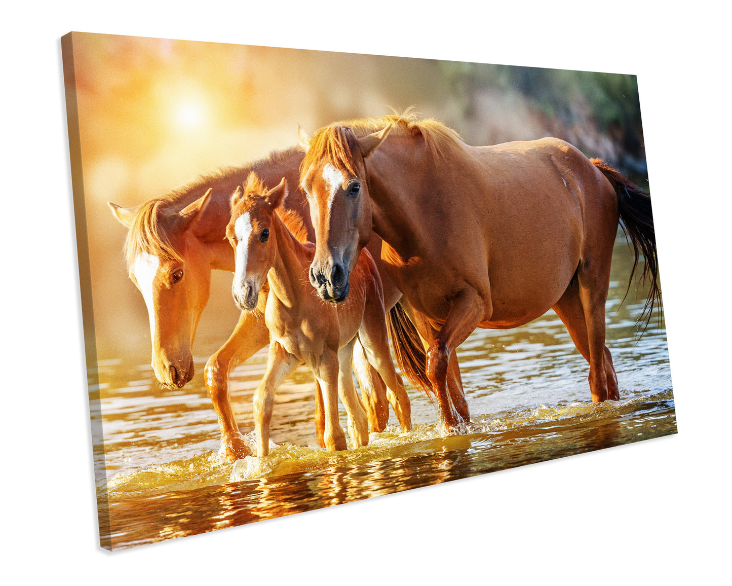 Horse Animal Canvas Art Print Framed Picture