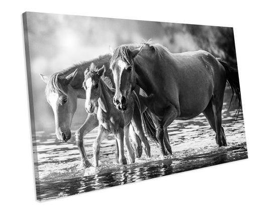 Horse Animal Black And White Canvas Art Print Framed Picture