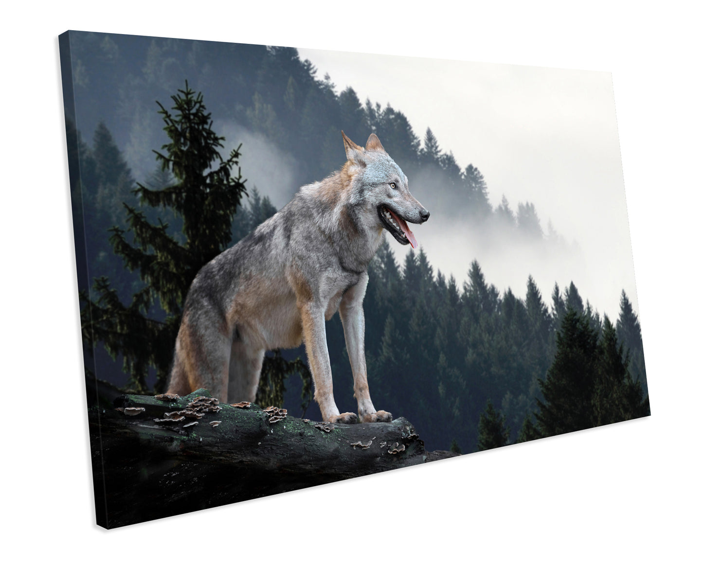 Wolf Forest Wildlife Canvas Art Print Framed Picture