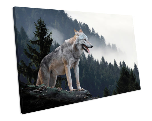 Wolf Forest Wildlife Canvas Art Print Framed Picture