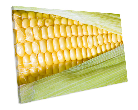 Corn On The Kob Close Up Macro Food Framed Canvas Print Wall Art