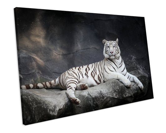 White Tiger Big Cat Animal Wildlife CANVAS WALL ART Box Framed Picture Print