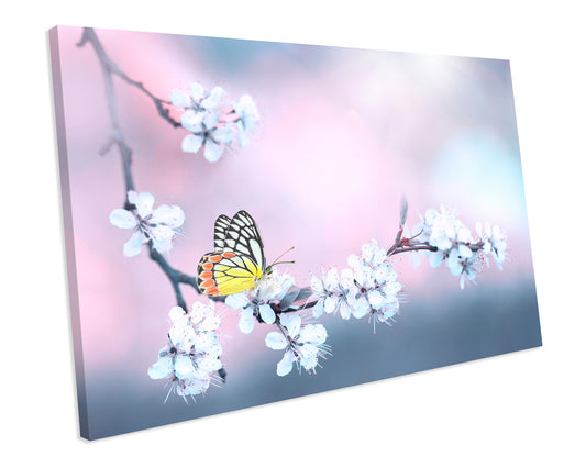 Butterfly Cherry Blossom Tree Animal Wildlife CANVAS WALL ART Box Framed Picture Print