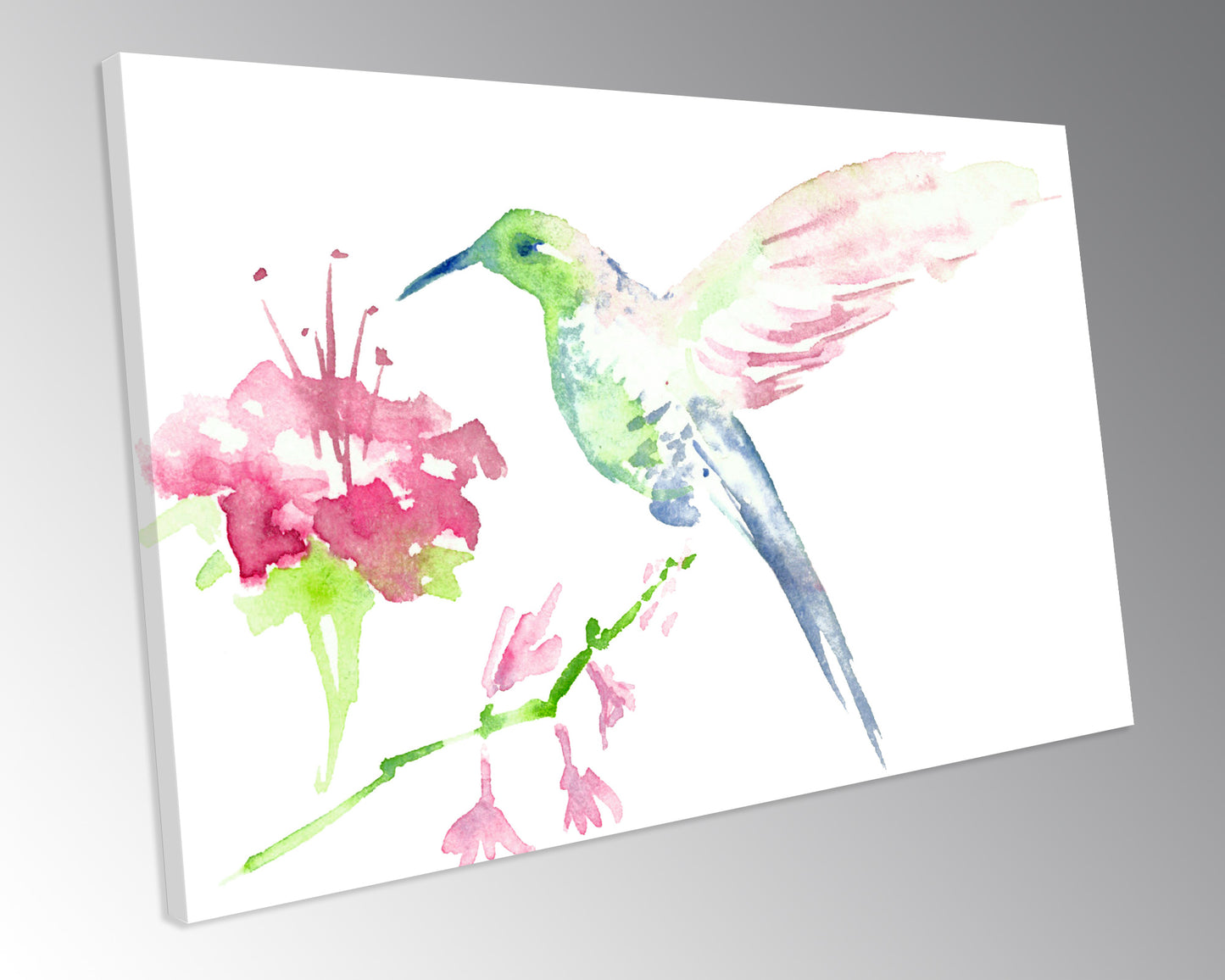 Humming Bird Watercolour Painting CANVAS WALL ART Box Framed Picture Print