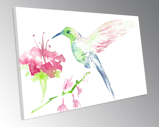 Humming Bird Watercolour Painting CANVAS WALL ART Box Framed Picture Print