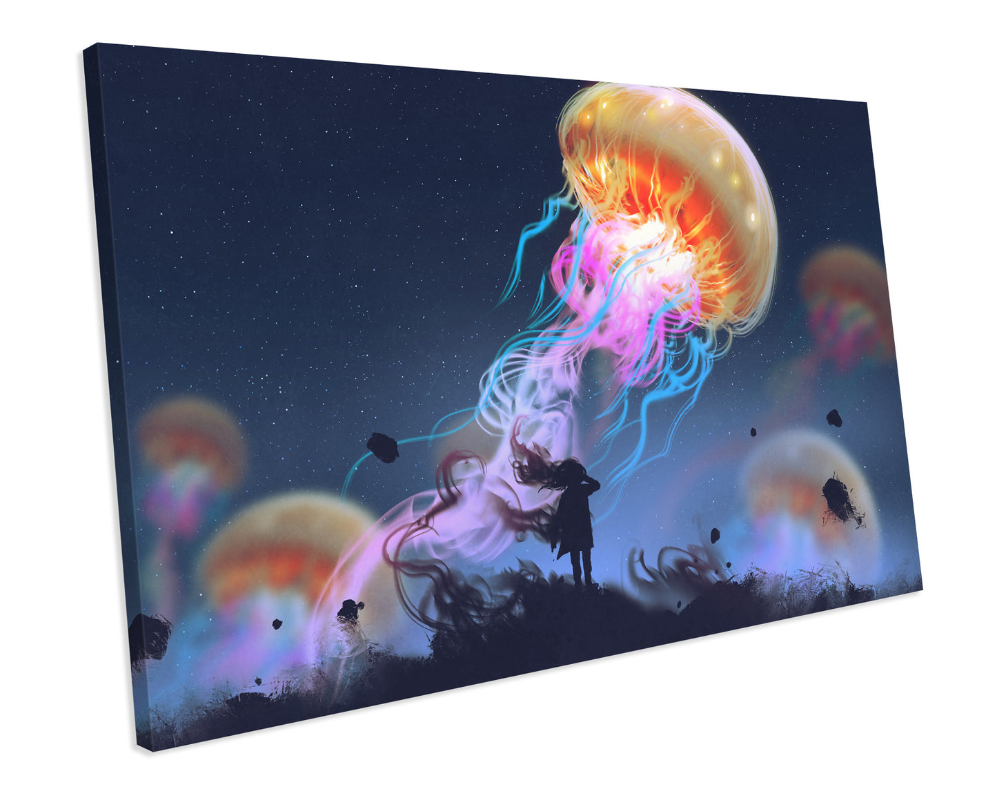 Jellyfish Abstract Artwork CANVAS WALL ART Box Framed Picture Print