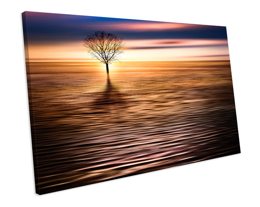 Lone Tree Sunrise Landscape Abstract Artwork CANVAS WALL ART Box Framed Picture Print