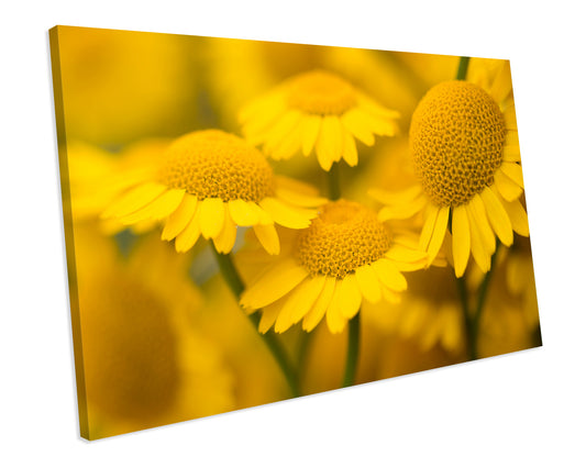 Yellow Flower Floral CANVAS WALL ART Box Framed Picture Print