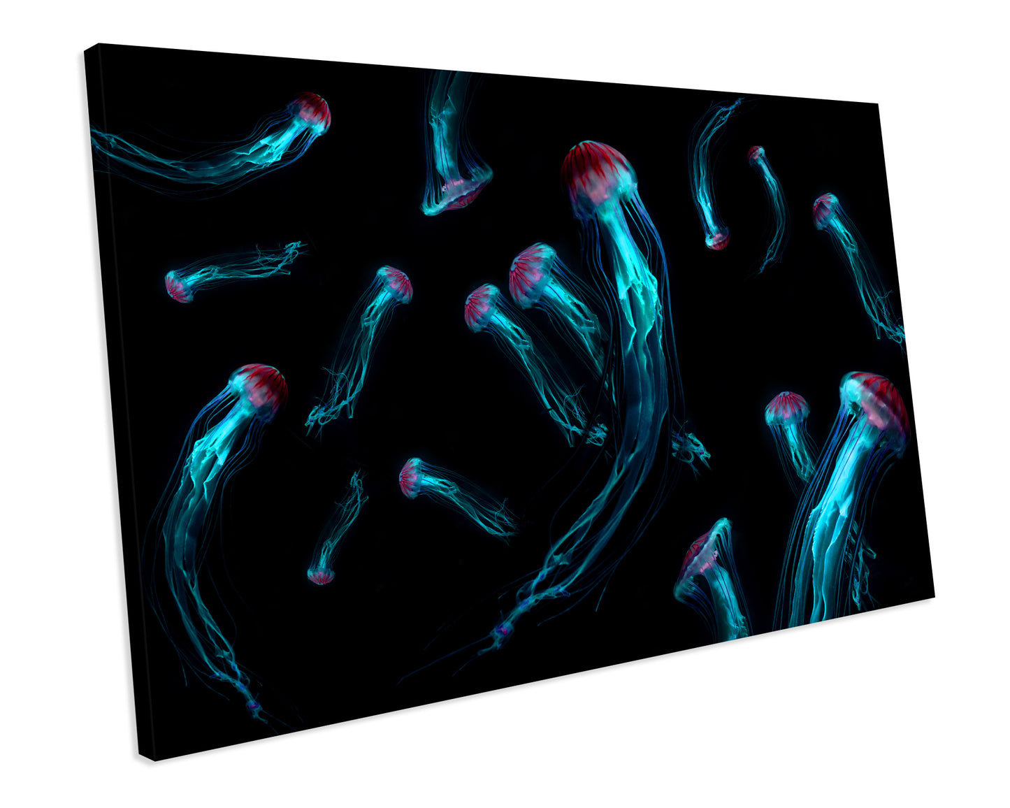 Jelly Fish Animal Wildlife CANVAS WALL ART Box Framed Picture Print